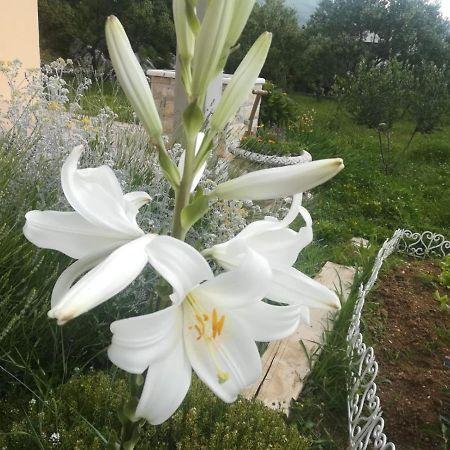 Castello Flower Apartment Kaštela エクステリア 写真